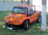 Potro 1995; o carro, de Recife, foi fotografado em 2008 (fonte: site planetabuggy).     