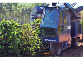 A colhedora autopropelida da Pinhalense em operação.