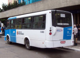 Attuale Gran no transporte público paulistano (foto: Eric Moisés Martins).