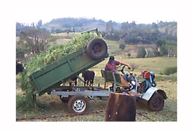 SANTA HELENA : Lexicar Brasil