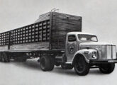 Cavalo-mecânico Scania transportando gado de grande fazenda de criação.