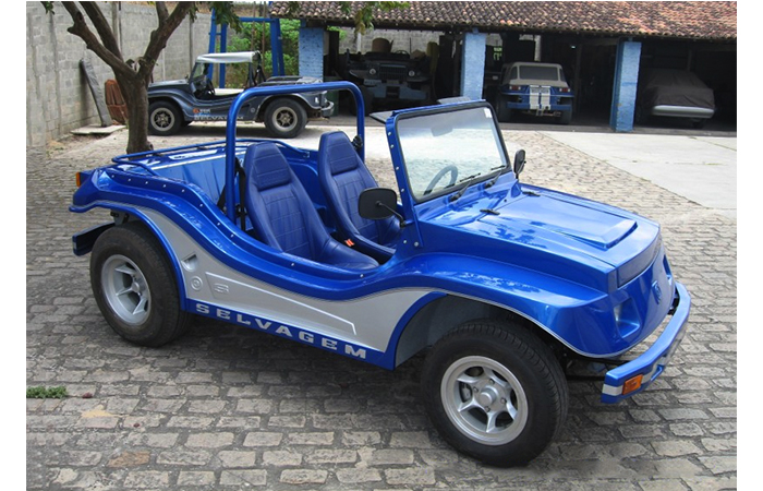 SELVAGEM | Lexicar Brasil SELVAGEM | Lexicar Brasil