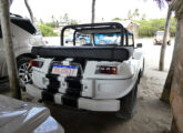O mesmo selvagem em vista traseira (foto: LEXICAR).