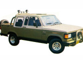 Chevrolet D-20 1986: neste caso, diferentemente do modelo anterior, as portas foram alargadas porém os vidros originais foram mantidos, sendo o espaço adicional complementado com pequenas vigias.