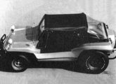 Buggy Tander Car 1979.