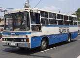 Rara carroceria Águia na versão fretamento; o ônibus aqui mostrado, sobre Mercedes-Benz OF, em 2010 pertencia à Prefeitura Municipal de Pilar do Sul (SP) (foto: Sérgio Carvalho).