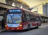 Trólebus em chassi Tuttotrasporti com carroceria Ibrava operado em São Paulo (SP) pela concessionária Ambeintal (foto: Varlos Vitor / essbuss).