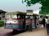 Outro Vieira 1961 semelhante, agora da Capivari Ônibus; à sua frente um Grassi-LP (foto: Augusto Antônio dos Santos / busbhdesenhosdeonibus).