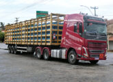 FH 540 transportando carregamento de botijões de gás em Camocim (CE), em junho de 2025 (foto: LEXICAR).
