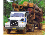 Em 1984 os caminhões Volvo tiveram a grade retocada; na foto o extrapesado N12 XHT, com capacidade de tração de 120 t, operando no Projeto Jari (PA).    