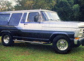 Caminhonete Ford F-1000 de duas portas com janelas panorâmicas; note a grade especial.   