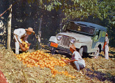 Jeep Universal na cultura cacaueira da Bahia (propaganda de 1959).     