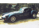 A réplica Cobra 1964 da WW Trevis.