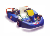 Kart ZF Junior S.    