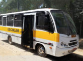 Walkbus em chassi VW 9.150 OD, com grade de ventilação do motor ampliada, utilizado no transporte escolar de São Paulo (SP) (foto: Emerson Maciel / onibusbrasil).