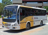 Igualmente sobre chassi Agrale, também este WB 9.6 opera no transporte público paulistano (foto: César Mattos / viacircular).