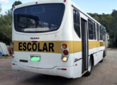 O mesmo ônibus escolar em vista posterior (fonte: Paulo Roberto Steindoff / vivalocal).