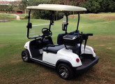 Carro para campos de golfe EVX E1-2G (dois passageiros, golfe).