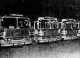Quatro LPO com carroceria Bela Vista fornecidos em 1971 à Nápoles, operadora de Olinda (PE) (foto: Diário de Pernambuco).