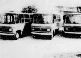 Em 1974 a Caio Norte introduziu o micro Carolina em linha; vendidos para Brasília (DF) em 1981 e equipados com bancos laterais, os carros da foto se destinavam ao transporte seletivo de vizinhança (fonte: Diário de Pernambuco).