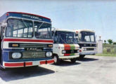 Urbano Bela Vista, micro Carolina e rodoviário Jubileu - os três produtos da Caio Norte em 1974 (fonte: portal litoralbus).