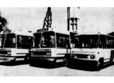 Um micro Carolina e dois urbanos Gabriela exportados para o Chile em 1981 (foto: Diário de Pernambuco).