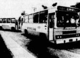 O urbano Amélia foi lançado no final de 1980; a imagem mostra um dos carros recebidos pela Empresa Metropolitana em junho de 1982 (foto: Diário de Pernambuco).