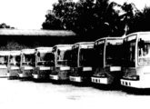 Lote final da frota de 30 Ônibus Vitória com chassi Mercedes-Benz OF-1315, recebida pela Empresa Metropolitana em setembro de 1989; o modelo foi lançado em dezembro do ano anterior (foto: Diário de Pernambuco).
