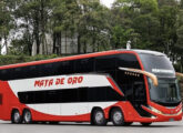 No final de 2023 dois DD em chassi Scania 8x2 foram exportados para a Guatemala, por encomenda da Autobuses Maya de Oro.