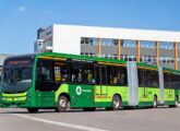 O biarticulado Volvo, já nas cores do sistema urbano de Goiânia (fonte: Jorge A. Ferreira Jr.).