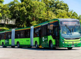 Outro dos biarticulados goianos visto pelo lado oposto (fonte: Jorge A. Ferreira Jr.).