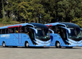 Paradiso G8 1200 e 1800 DD: 20 unidades do primeiro e 50 do segundo foram adquiridas pelo Grupo Guanabara em julho de 2026.