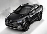 Em novembro de 2024, ainda sem horizonte preciso quanto ao lançamento do 459, a Lecar apresentou o desenho de novo modelo - uma picape.