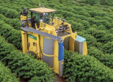 9240 em ação no cafezal.