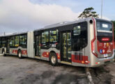 Articulado Millennium V da Metróplole Paulista com a mesma mecânica, porém com cor diversa, indicando a alocação de ambos a diferentes setores urbanos de São Paulo (SP) (fonte: eliabelp / Matrix Games).