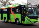Em outubro de 2025, mês do lançamento oficial do eApache Vip, foi apresentada sua versão mais curta, com 9,8 m de comprimento.